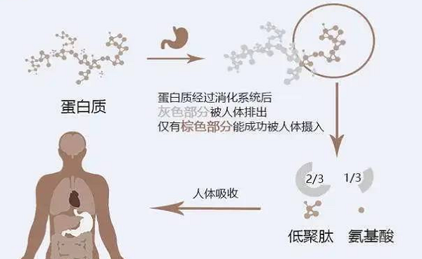 選擇離心濃縮儀時(shí)應(yīng)該注意哪些事項(xiàng)呢？
